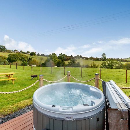 Chestnut-Uk36261 Villa Llanfair Caereinion Luaran gambar